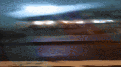 湖北荆门阳光大道附近遭遇龙卷风 数十棵树连根